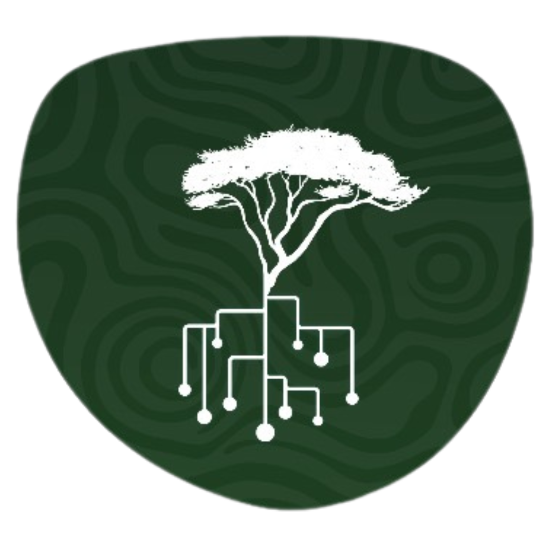 Fintech & Digital Finance